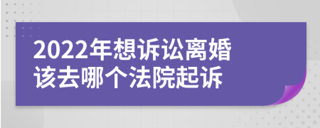 2022年想诉讼离婚该去哪个法院起诉
