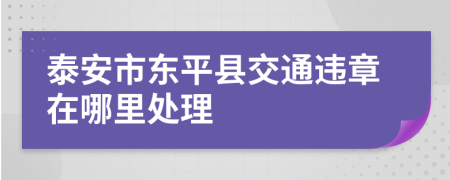 泰安市东平县交通违章在哪里处理