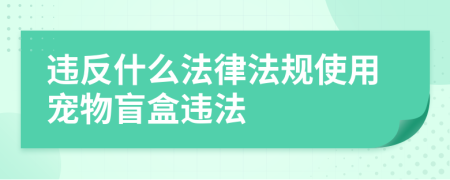 违反什么法律法规使用宠物盲盒违法