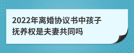 2022年离婚协议书中孩子抚养权是夫妻共同吗