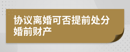 协议离婚可否提前处分婚前财产