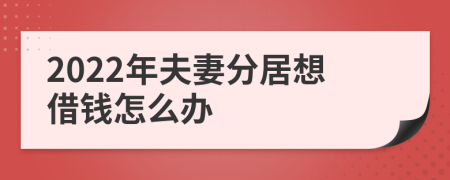 2022年夫妻分居想借钱怎么办