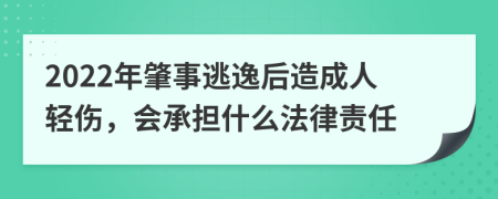 2022年肇事逃逸后造成人轻伤，会承担什么法律责任