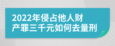 2022年侵占他人财产罪三千元如何去量刑