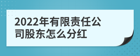 2022年有限责任公司股东怎么分红