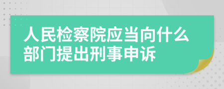 人民检察院应当向什么部门提出刑事申诉