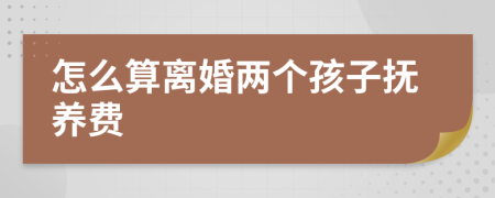 怎么算离婚两个孩子抚养费