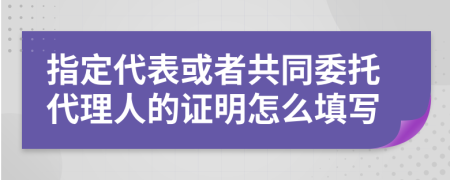 指定代表或者共同委托代理人的证明怎么填写