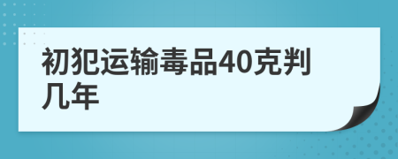 初犯运输毒品40克判几年