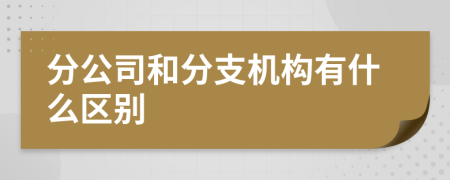 分公司和分支机构有什么区别