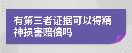 有第三者证据可以得精神损害赔偿吗