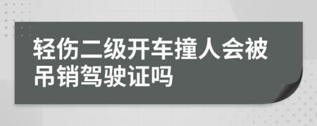 轻伤二级开车撞人会被吊销驾驶证吗