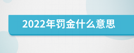 2022年罚金什么意思