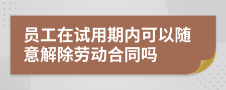 员工在试用期内可以随意解除劳动合同吗