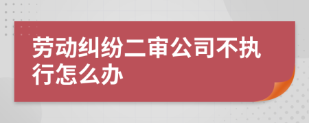 劳动纠纷二审公司不执行怎么办