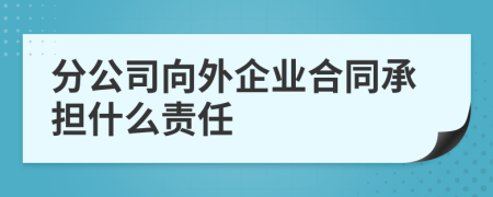 分公司向外企业合同承担什么责任