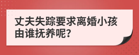 丈夫失踪要求离婚小孩由谁抚养呢？