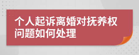 个人起诉离婚对抚养权问题如何处理