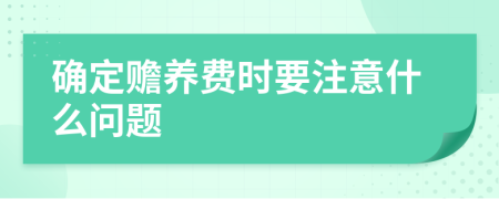 确定赡养费时要注意什么问题