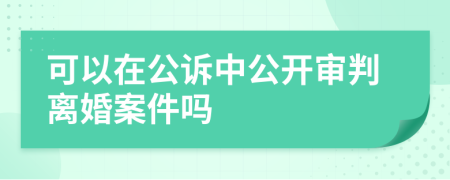 可以在公诉中公开审判离婚案件吗