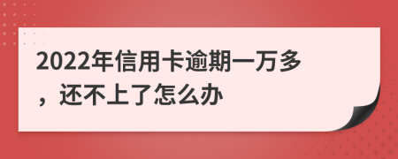 2022年信用卡逾期一万多，还不上了怎么办