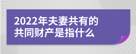 2022年夫妻共有的共同财产是指什么