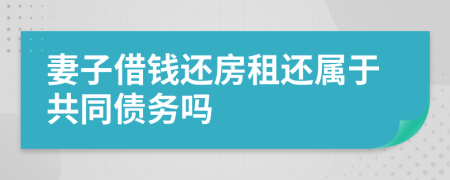 妻子借钱还房租还属于共同债务吗