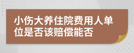 小伤大养住院费用人单位是否该赔偿能否