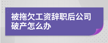 被拖欠工资辞职后公司破产怎么办