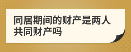 同居期间的财产是两人共同财产吗