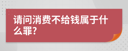 请问消费不给钱属于什么罪?