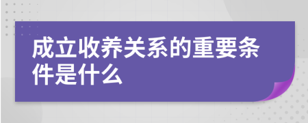 成立收养关系的重要条件是什么