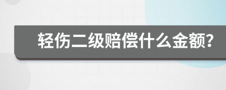 轻伤二级赔偿什么金额？