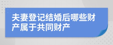 夫妻登记结婚后哪些财产属于共同财产