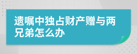 遗嘱中独占财产赠与两兄弟怎么办