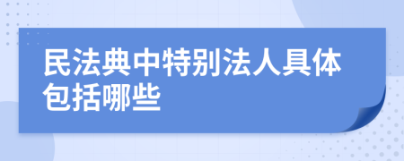 民法典中特别法人具体包括哪些