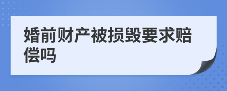 婚前财产被损毁要求赔偿吗