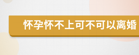 怀孕怀不上可不可以离婚