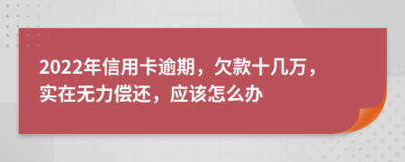 2022年信用卡逾期，欠款十几万，实在无力偿还，应该怎么办