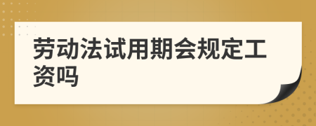 劳动法试用期会规定工资吗