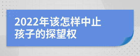 2022年该怎样中止孩子的探望权