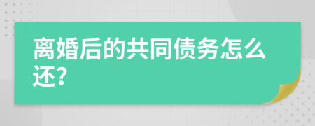 离婚后的共同债务怎么还？