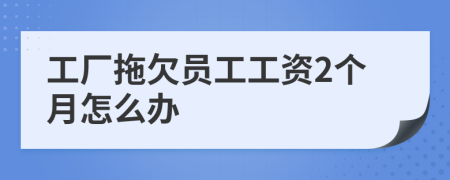 工厂拖欠员工工资2个月怎么办