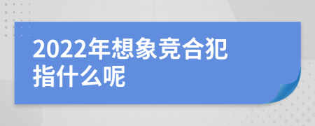 2022年想象竞合犯指什么呢