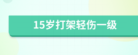 15岁打架轻伤一级