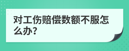 对工伤赔偿数额不服怎么办？