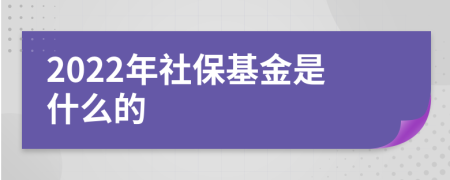 2022年社保基金是什么的