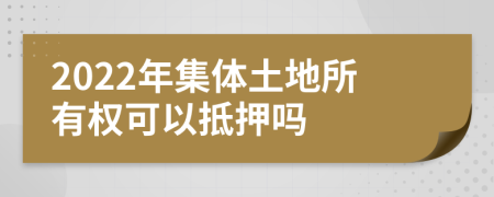 2022年集体土地所有权可以抵押吗