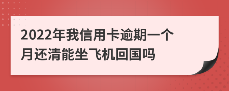 2022年我信用卡逾期一个月还清能坐飞机回国吗