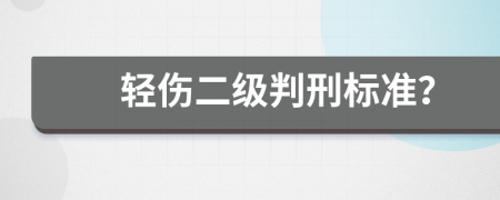 轻伤二级判刑标准？